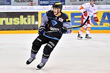 ERC Ingolstadt vs Duesseldorfer EG, Eishockey, DEL, Deutsche Eishockey Liga, Spieltag 50, 21.02.2017