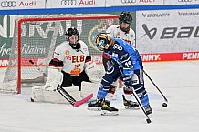 Eishockey, Frauen, DFEL, Saison 2023-2024, ERC Ingolstadt - EC Bergkamener Bären, 28.10.2023