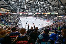 Eishockey, Herren, DEL, Saison 2023-2024, Spieltag 23, ERC Ingolstadt - Straubing Tigers, 01.12.2023