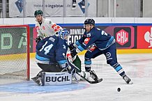 Eishockey, Mens, CHL, Season 2023-2024, ERC Ingolstadt - Färjestad Karlstad, 02.09.2023