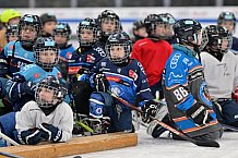 Eishockey, Herren, DEL, Saison 2024-2025, ERC Ingolstadt - Kids On Ice Day, 11.01.2025