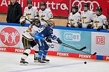 Eishockey, Frauen, DFEL, Vorbereitung, Saison 202-2025, ERC Ingolstadt - St. Pölten, 07.09.2024