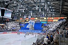 Eishockey, Herren, DEL, Saison 2024-2025, Playoffs Halbfinale, Spiel 1, ERC Ingolstadt - Kölner Haie, 02.04.2025