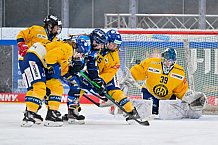 Eishockey, Frauen, DFEL, Saison 2025-2026, Testspiel, ERC Ingolstadt - HC Davos, 14.02.2026