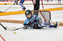 Eishockey, Herren, DEL, Saison 2022-2023, ERC Ingolstadt - Kids On Ice Day, 14.01.2023