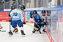 Eishockey, Herren, DEL, Saison 2026-2027, Spieltag 2, ERC Ingolstadt - Nürnberg Ice Tigers, 20.09.2026