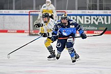 Eishockey, Frauen, DFEL, Saison 2023-2024, ERC Ingolstadt - Mad Dogs Mannheim, 18.02.2024