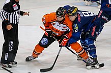 ERC Ingolstadt  - Grizzlys Wolfsburg, Eishockey, DEL, Deutsche Eishockey Liga, Spieltag 42, 31.01.2016