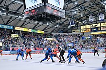 Eishockey, Herren, DEL, Saison 2025-2026, Playoffs Halbfinale, Spiel 3, ERC Ingolstadt - Grizzlys Wolfsburg, 19.09.2025