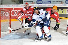 ERC Ingolstadt vs Fischtown Pinguins, Eishockey, DEL, Deutsche Eishockey Liga, Spieltag 3, 07.10.2016