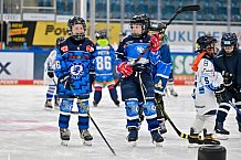 Eishockey, Saison 2025-2026, ERC Ingolstadt - Kids On Ice Day, 10.01.2026