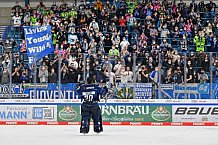 Eishockey, Herren, DEL, Saison 2021-2022, Spieltag 51, ERC Ingolstadt - Bietigheim Steelers, 29.03.2022