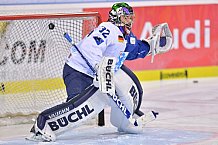ERC Ingolstadt vs Adler Mannheim, Eishockey, DEL, Deutsche Eishockey Liga, Spieltag 19, 18.11.2018