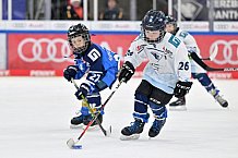 Eishockey, Herren, DEL, Saison 2024-2025, Spieltag 26, ERC Ingolstadt - Iserlohn Roosters, 15.12.2024