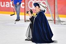 ERC Ingolstadt vs Adler Mannheim, Eishockey, DEL, Deutsche Eishockey Liga, Spieltag 46, 10.02.2017