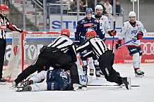 Eishockey, Herren, DEL, Saison 2024-2025, Spieltag 17, ERC Ingolstadt - Adler Mannheim, 17.11.2024