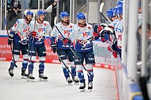 Eishockey, Herren, DEL, Saison 2022-2023, Spieltag 50, ERC Ingolstadt - Adler Mannheim, 05.02.2023