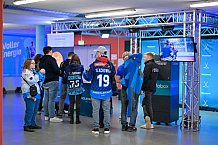 Eishockey, Herren, DEL, Saison 2024-2025, Spieltag 8, ERC Ingolstadt - Grizzlys Wolfsburg, 11.10.2024