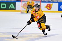 Hockey, Mens, CHL, Season 2025-2026, Regular Season, Game Day 2, ERC Ingolstadt - Kalpa Kuopio, 30.08.2025