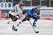 Eishockey, Herren, DEL, Saison 2024-2025, Spieltag 42, ERC Ingolstadt - Kölner Haie, 31.01.2025