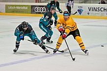 Eishockey, Herren, DEL, Saison 2026-2027, ERC Ingolstadt - HC Verva Litvinov - Steinbach Black Wings Linz, 22.08.2026