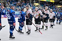 Eishockey, Herren, DEL, Saison 2025-2026, Spiel 47, ERC Ingolstadt - Nürnberg Ice Tigers, 01.03.2026