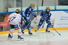 Eishockey, Frauen, DFEL, Saison 2024-2025, ERC Ingolstadt - ECDC Memmingen Indians, 19.01.2025