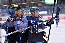 ERC Ingolstadt vs Duesseldorfer EG, Eishockey, DEL, Deutsche Eishockey Liga, Spieltag 50, 21.02.2017