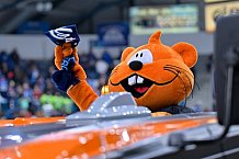 Eishockey, Herren, DEL, Saison 2025-2026, Spiel 21, ERC Ingolstadt - Pinguins Bremerhaven, 23.11.2025