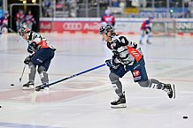 Eishockey, Herren, DEL, Saison 2023-2024, Spieltag 30, ERC Ingolstadt - Straubing Tigers, 23.12.2023