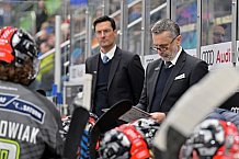 Eishockey, Herren, DEL, Saison 2023-2024, Spieltag 36, ERC Ingolstadt - Kölner Haie, 07.01.2024