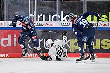 Eishockey, Herren, DEL, Saison 2024-2025, Spieltag 19, ERC Ingolstadt - Grizzlys Wolfsburg, 24.11.2024