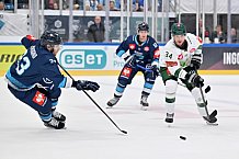 Eishockey, Mens, CHL, Season 2023-2024, ERC Ingolstadt - Färjestad Karlstad, 02.09.2023