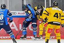 Eishockey, U20, DNL, Saison 2024-2025, ERC Ingolstadt - Krefelder EV 81, 01.03.2025