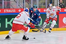 Hockey, Mens, CHL, Season 2025-2026, Regular Season, Round of 16, ERC Ingolstadt - EC Red Bull Salzburg, 12.11.2025