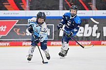 Eishockey, Herren, DEL, Saison 2026-2027, Spieltag 8, ERC Ingolstadt - Löwen Frankfurt, 11.10.2026