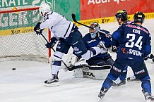 ERC Ingolstadt vs Hamburg Freezers, Eishockey, DEL, Deutsche Eishockey Liga, Spieltag 36, 10.01.2016, Foto: st-foto.de / Oliver STRISCH

