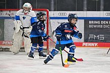 Eishockey, Herren, DEL, Saison 2024-2025, ERC Ingolstadt - Kids On Ice Day, 11.01.2025