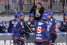 Eishockey, Herren, DEL, Saison 2020-2021, Adler Mannheim - ERC Ingolstadt, 24.01.2021