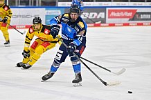 Eishockey, U20, DNL, Saison 2024-2025, ERC Ingolstadt - Krefelder EV 81, 01.03.2025