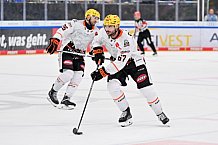 Eishockey, Herren, DEL, Saison 2026-2027, Spieltag 8, ERC Ingolstadt - Löwen Frankfurt, 11.10.2026