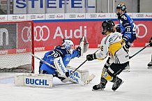 Eishockey, Frauen, DFEL, Saison 2023-2024, ERC Ingolstadt - Mad Dogs Mannheim, 18.02.2024