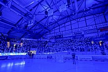 Eishockey, Herren, DEL, Saison 2025-2026, Spiel 23, ERC Ingolstadt - Dresdner Eislöwen, 28.11.2025