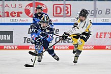 Eishockey, Frauen, DFEL, Saison 2023-2024, ERC Ingolstadt - Mad Dogs Mannheim, 18.02.2024