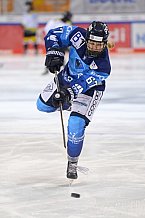 Eishockey, Frauen, DFEL, Saison 2020-2021, ERC Ingolstadt - Mad Dogs Mannheim, 30.01.2021