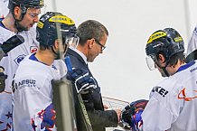 ERC Ingolstadt - Adler Mannheim, Eishockey, DEL, Deutsche Eishockey Liga, Spieltag 43, 29.01.2017