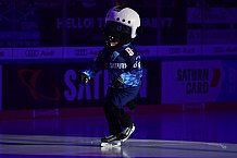 ERC Ingolstadt vs Düsseldorfer EG, DEL, Deutsche Eishockey Liga, Spieltag 37, 12.01.2020