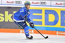 ERC Ingolstadt vs Schwenninger Wild Wings, Eishockey, DEL, Deutsche Eishockey Liga, Spieltag 25, 26.11.2017