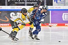 Eishockey, Frauen, DFEL, Saison 2021-2022, ERC Ingolstadt - Mad Dogs Mannheim, 23.10.2021
