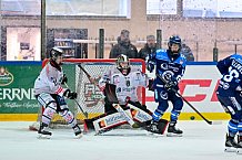 Eishockey, Frauen, DFEL, Saison 2025-2026, Playoffs Halbfinale - Spiel 2, ERC Ingolstadt - HC Davos, 01.03.2026